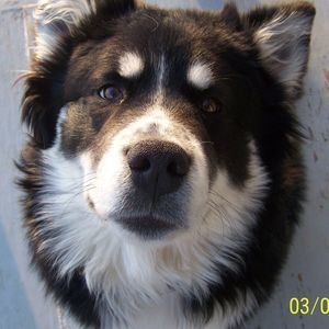 Meet your Posher, Carol a